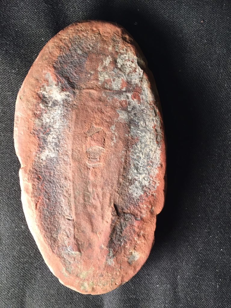 Mazon Creek concretion tully monster