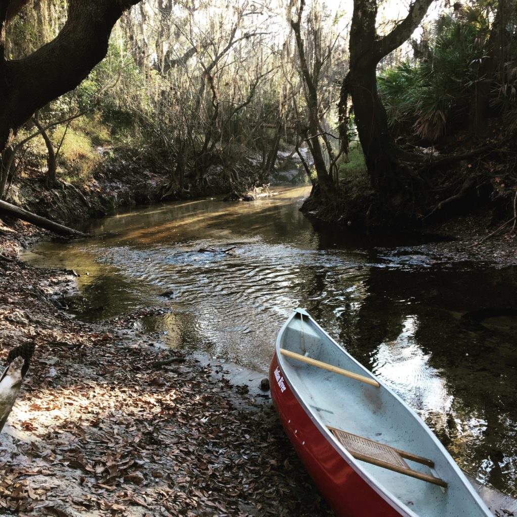 Canoe florida river peace river