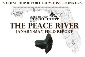 Peace River trip report