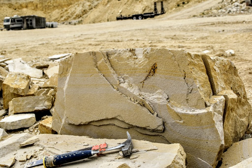green river formation fossil fish collecting