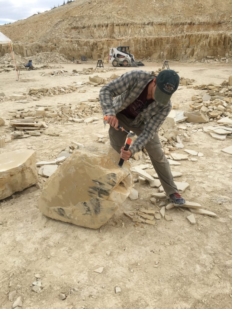 Kemmerer Fossil Collecting