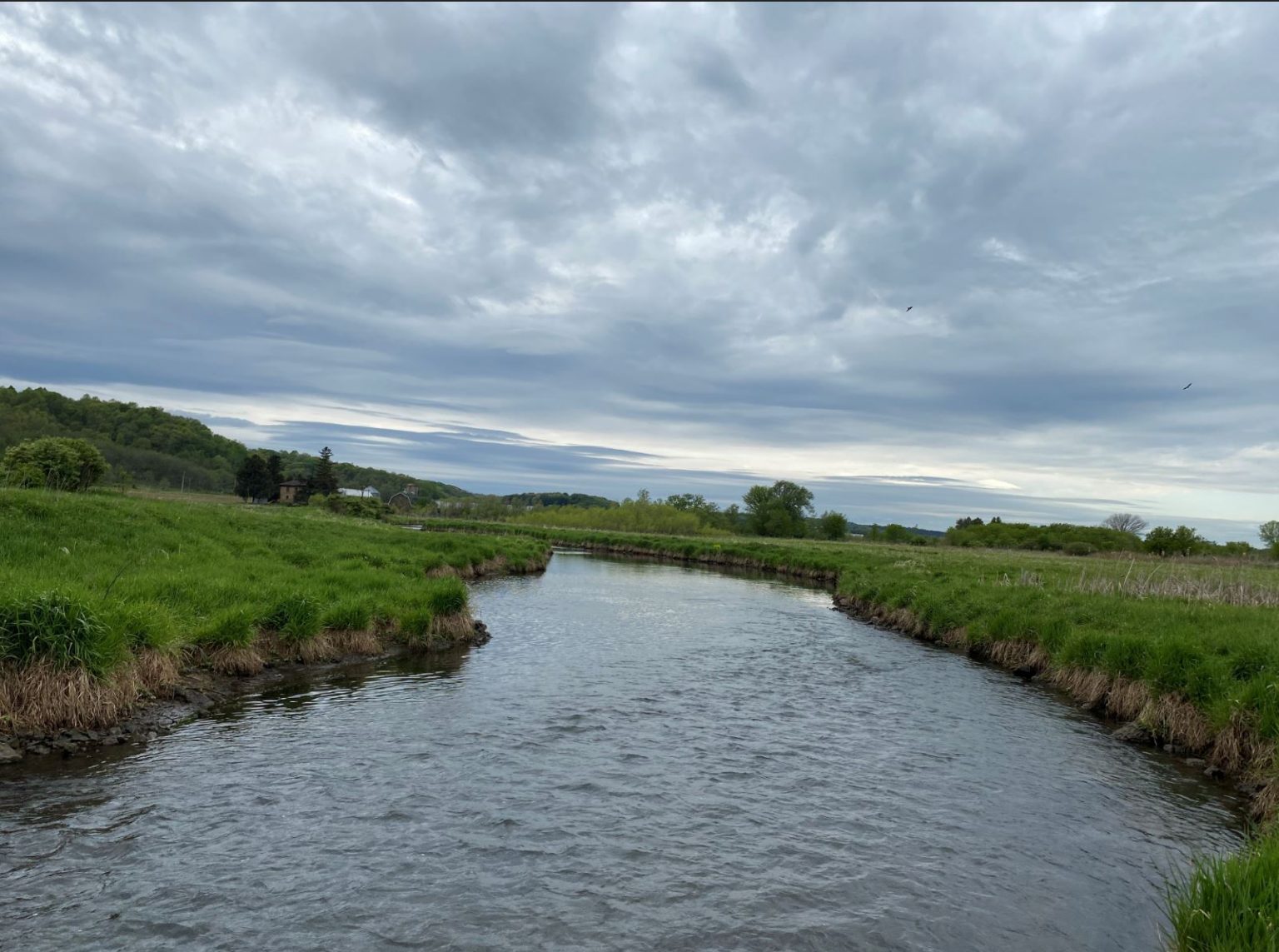 Black Earth Creek Fly Fishing – A Guide to Angling in This Scenic Wisconsin Stream