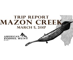 Mazon Creek Fossil Collecting Opener and Trip Report 3/5/17