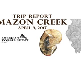 Mazon Creek Pit 11 collecting report 4/9/2017