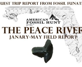 Peace River Fossil Hunting Report- Spring 2017