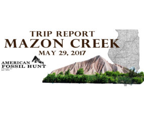 Mazon Creek Pit 11 Collecting report 5/29/2017- Torino Hill