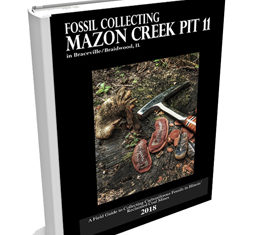 Inside Fossil Collecting Mazon Creek Pit 11: The Field Guide
