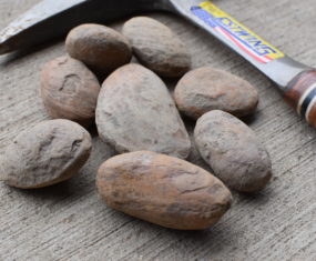 Cracking Mazon Creek Fossils and Tying Flies