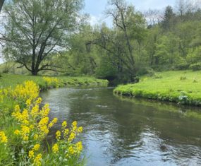 Fishing the Driftless Wisconsin 5/15 Blue River, Black Earth Creek, Big Green River, and Reads Creek